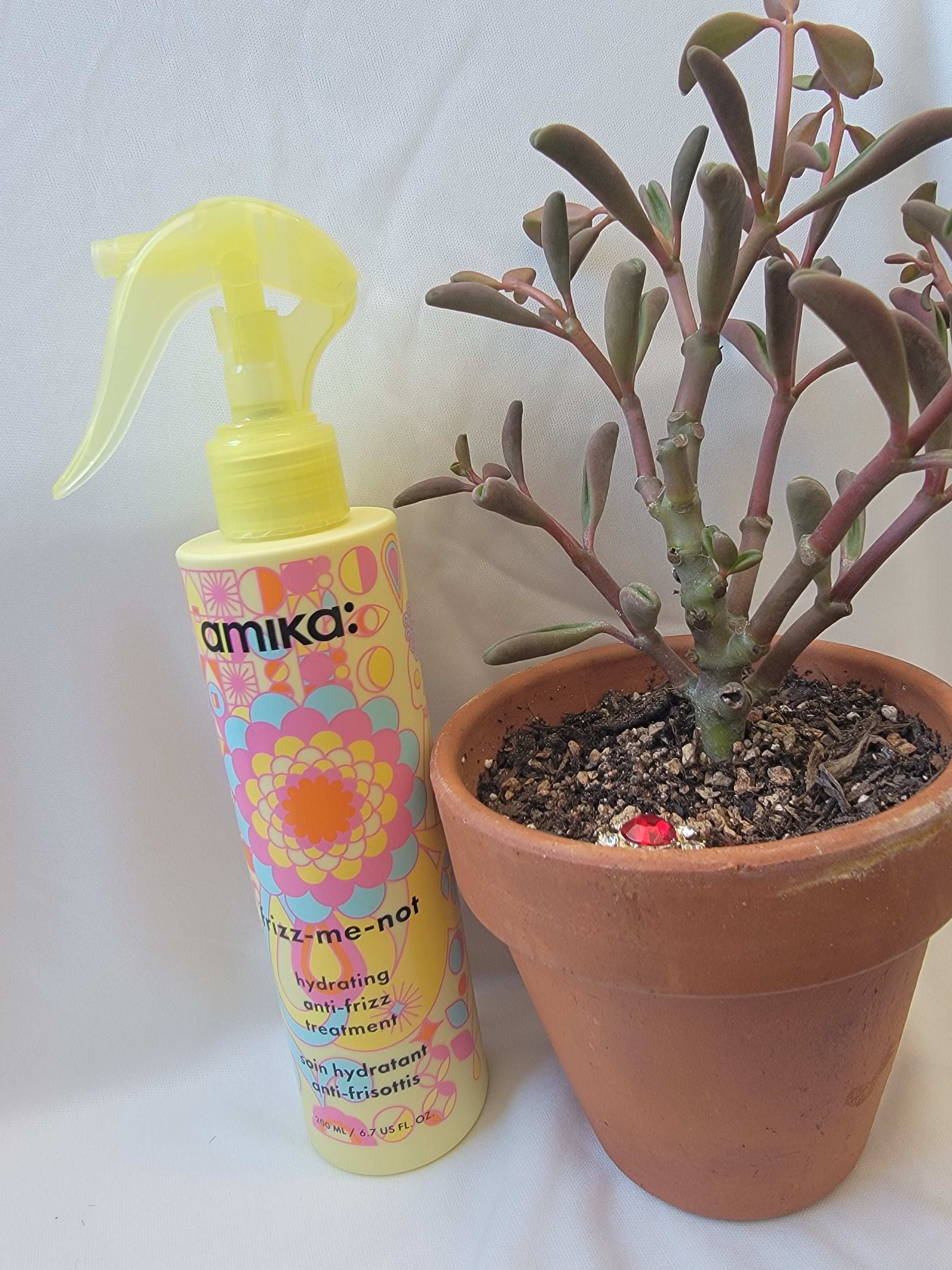 Amika Frizz Me Not Blow Out Spray
